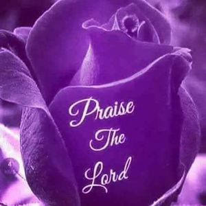 Meet your Posher, Peggy